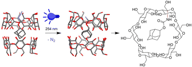 Graphical abstract: C–H amination reactions inside α-cyclodextrin supramolecular capsule