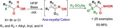 Graphical abstract: Aza-oxyallyl cation-mediated synthesis of α-sulfonyl hydroxamic acid derivatives from α-halo hydroxamates and sodium sulfinates