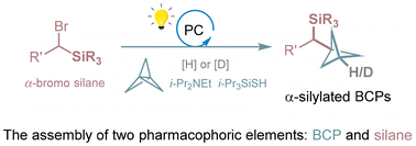 Graphical abstract: Visible light photocatalytic reductive hydroalkylation and deuterium alkylation to access α-silylated bicyclo[1.1.1]pentanes