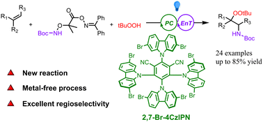 Graphical abstract: Visible-light-induced regioselective amidoperoxidation of alkenes