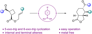 Graphical abstract: Synthesis of hexahydroisobenzofuran-1(3H)-ones via pyridine-boryl radical-catalyzed intramolecular cascade cyclization of alkene-tethered cyclobutyl ketones