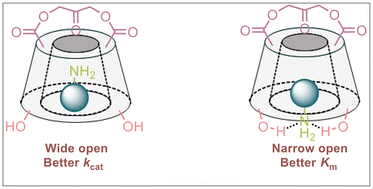Graphical abstract: Tuning artificial oxidase catalysis by cavity modification