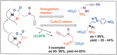 Graphical abstract: Synthesis of enantiomerically enriched β-N-amino (S)-α-alanine analogs via sequential reactions on a chiral Ni(ii) complex