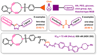 Graphical abstract: Synthesis and biological study of benzothiophene-fused azaenediyne hybrids as potential anticancer agents