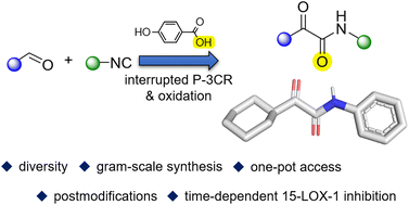 Graphical abstract: Privileged scaffolds on demand: a Passerini-based strategy toward α-ketoamides