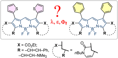 Graphical abstract: 1,7-Dithienyl BODIPYs: do thienyls outperform phenyls?