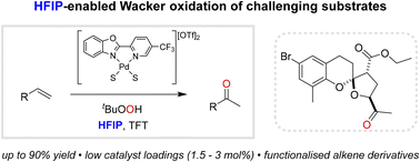Graphical abstract: tert-Butyl hydroperoxide mediated Wacker-type oxidations: taking advantage of hexafluoro-2-propanol for challenging substrates