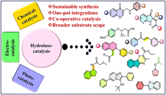 Graphical abstract: Hydrolase biocatalysis integrated with chemo-, electro-, and photocatalysis for sustainable organic synthesis