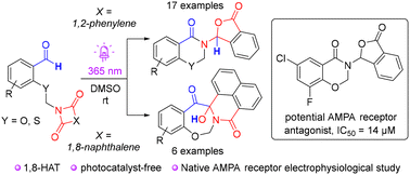 Graphical abstract: A photochemical HAT approach to synthesize N-substituted benzoxazin-4-ones and their activity as AMPA receptor modulators