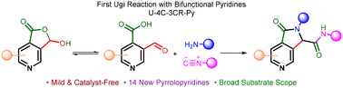 Graphical abstract: The Ugi reaction in the synthesis of pyrrolo[3,4-c]pyridine derivatives