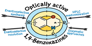 Graphical abstract: Optically active dihydro-1,4-benzoxazines: synthetic, separation, and enzymatic approaches