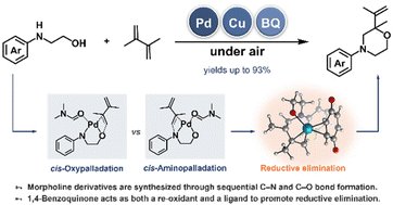 Graphical abstract: Synthesis of morpholine derivatives from 1,3-dienes and N-arylaminoalcohols by palladium-catalyzed sequential C–N and C–O bond formation