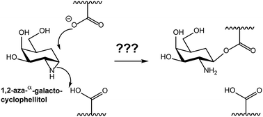 Graphical abstract: Synthesis and evaluation of carbagalactosyl 1,2-aziridines and -epoxides as glycosidase inhibitors