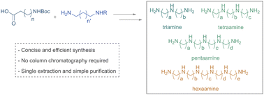 Graphical abstract: Modular and chromatography-free synthesis of natural linear polyamines