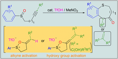 Graphical abstract: TfOH-catalyzed cyclization/rearrangement of alkynyl aryl sulfoxides for metal-free synthesis of six- to nine-membered sulfur-containing heterocycles