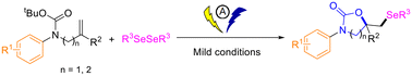 Graphical abstract: Electrocatalytic selenocyclization for the synthesis of selenium-containing oxazolidinones