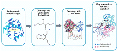 Graphical abstract: Molecular interactions of cinnamyl and quinoxaline derivatives with Bcl-2 antiapoptotic proteins: a computational study