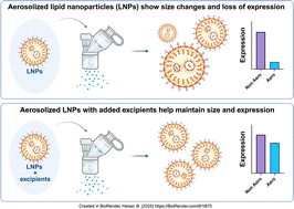 Graphical abstract: Systematic screening of excipients to stabilize aerosolized lipid nanoparticles for enhanced mRNA delivery