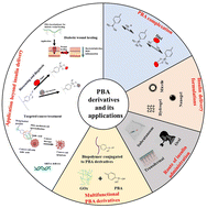 Graphical abstract: Phenylboronic acid derivatives: advancing glucose-responsive insulin delivery and multifunctional biomedical applications