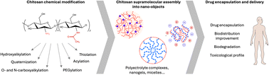 Graphical abstract: Chitosan-based nano-objects for drug delivery: a review of their chemical modifications, supramolecular organization and biological fate