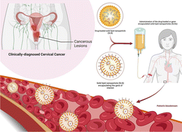 Graphical abstract: Solid lipid nanoparticles in cervical cancer: a comprehensive review of a decade of progress and prospects