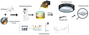 Graphical abstract: Biopolymeric films based on chitosan and copaiba oleoresin: preliminary insights for oral applications