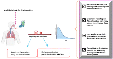 Graphical abstract: Lung physiologically based pharmacokinetic modelling to predict sublingual buprenorphine kinetics following oral inhalation