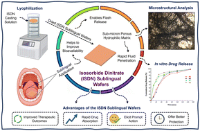 Graphical abstract: Formulation and evaluation of isosorbide dinitrate-loaded flash-release dispersible sublingual wafers