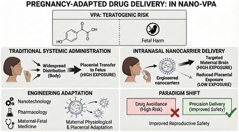 Graphical abstract: Redesigning valproic acid therapy in pregnancy: intranasal liposomes for targeted maternal treatment
