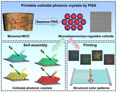 Graphical abstract: Monodisperse and size-regulable nanoparticles by polymerization-induced self-assembly for printable colloidal photonic crystals