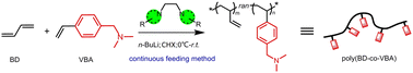 Graphical abstract: Facile synthesis of functionalized high vinyl polybutadiene by using 1,2-dipiperidinoethane derivatives as polar modifiers