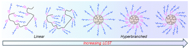 Graphical abstract: Architectural effects on the thermoresponsive behaviour of PEGylated hyperbranched polyesters and their linear analogues