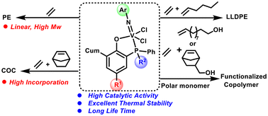 Graphical abstract: Thermally stable vanadium(v) complexes bearing bidentate phenoxy-phosphine ligands: synthesis, characterization, and catalytic properties for alkene polymerization