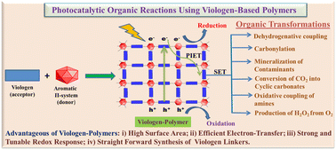 Graphical abstract: Recent advances in viologen-based polymers and their photocatalytic applications