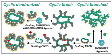 Graphical abstract: Cyclic grafted polymers: synthesis, properties and biomedical applications