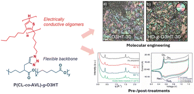 Graphical abstract: Graft length and density govern morphology and optoelectronic properties of poly(caprolactone)-graft-oligo(3-hexylthiophene)s