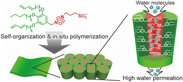 Graphical abstract: Self-assembled nanostructured membranes with an imidazolium-sulfonate betaine group: ionic columnar liquid crystals with water treatment and CO2 gas separation properties