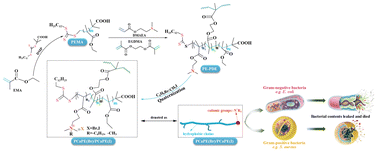 Graphical abstract: Preparation and performance characterization of block cross-linked copolymers PCaPE(Br) and PCaPE(I) via RAFT polymerization and quaternization reaction