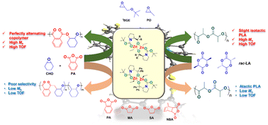 Graphical abstract: Chiral proline-derived Zn(ii) complexes as catalysts for ring-opening polymerization and ring-opening copolymerization reactions