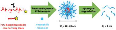 Graphical abstract: PEG-based core-degradable nanoparticles via RAFT-mediated reverse-sequence PISA