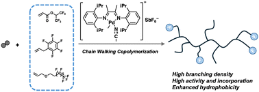 Graphical abstract: Direct synthesis of fluorinated hyperbranched polyethylenes by chain walking copolymerization