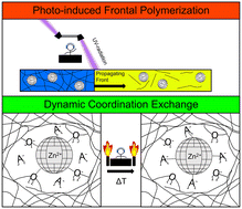 Graphical abstract: Zinc-based coordination exchange in epoxy networks cured via frontal polymerization