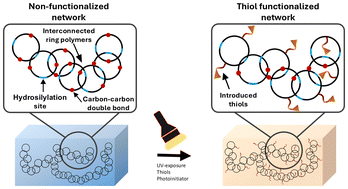 Graphical abstract: Tunable silicone elastomers through PDMS ring network design and post-curing chemistry