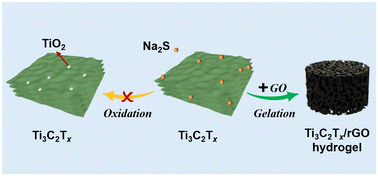 Graphical abstract: A bifunctional antioxidant for concurrent enhancement of stability and zinc-ion storage properties of Ti3C2Tx