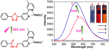 Graphical abstract: Unexpected photo-induced oxidative cyclization and luminescence switching in molecular aggregates of two acylhydrazone-based Ir(iii) complexes