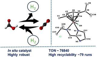 Graphical abstract: Ligand-tuned catalytic activity of ruthenium-imidazolyl amine complexes for reversible formic acid dehydrogenation and CO2 hydrogenation to formic acid
