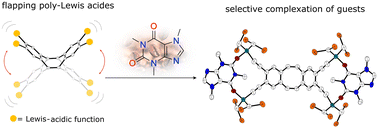 Graphical abstract: Dibenzocyclooctatetraene based poly-Lewis-acids: flapping hosts for multidentate guests