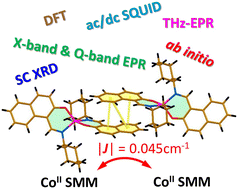 Graphical abstract: Intermolecular exchange interaction in bis-(phenoxy Schiff base) Co(ii) complexes: an in-depth insight into the magneto-structural nature of single-molecule magnets