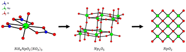 Graphical abstract: Thermal decomposition of neptunyl ammonium nitrate: mechanistic insights and structural characterization of the Np2O5 intermediate phase