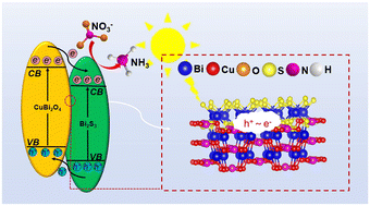 Graphical abstract: In situ sulfidation induced a Bi2S3 heterogeneous phase on CuBi2O4 for boosting photoelectrochemical ammonia production